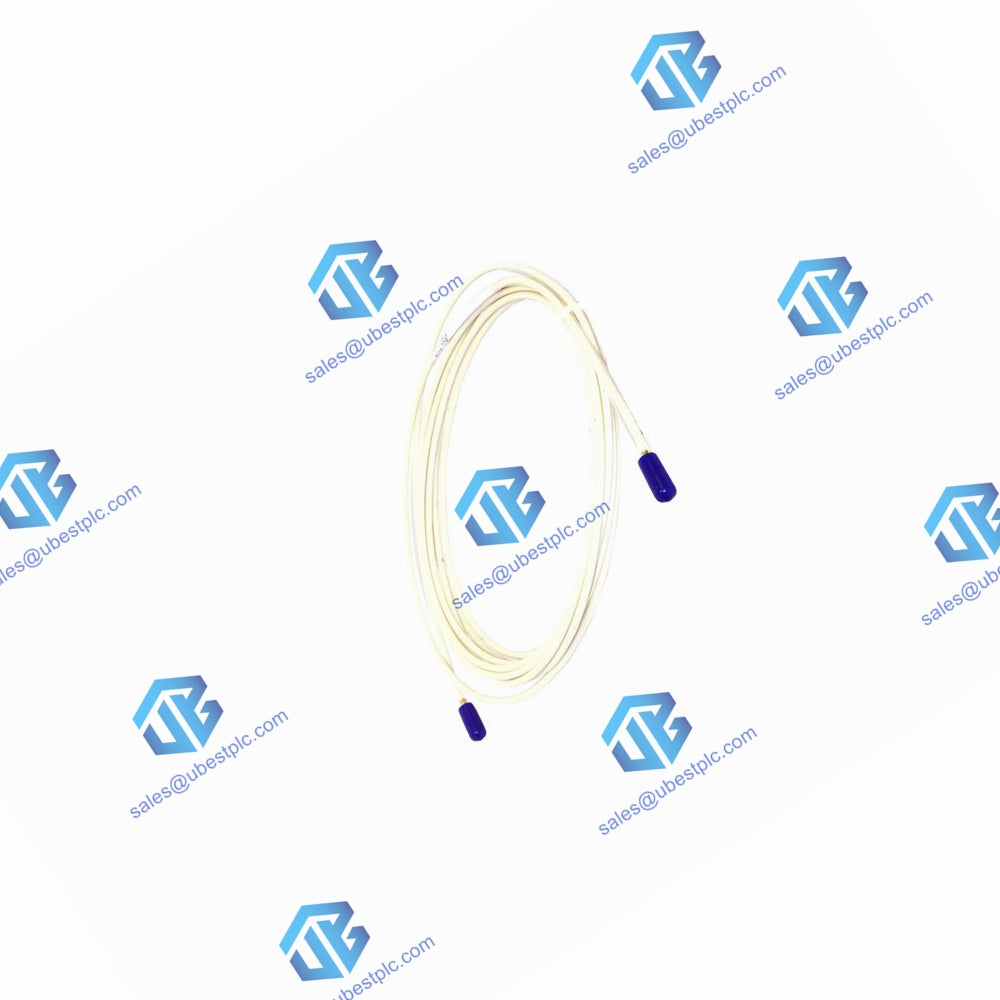 Зонд үшін Bently Nevada 2789-204 кабельді ұзарту 17 фут