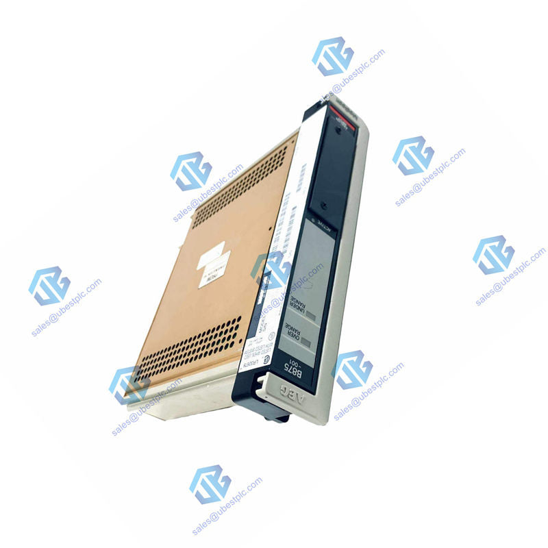 Schneider Quantum Analog Input Module AS-B875-001