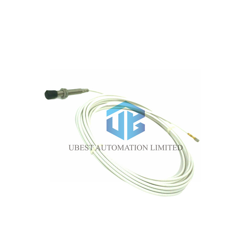 Meggitt Vibro-Mete 111-412-000-013-A2-B1-E010-F0-G000-H05