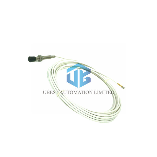 Meggitt Vibro-Mete 111-412-000-013-A2-B1-E010-F0-G000-H05