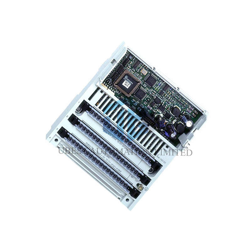 Schneider Electric 170AAI03000 Momentum Analog Input Base