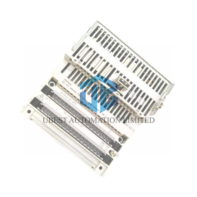 170ADO53050 Schneider Output Module | 120V AC Triac Control