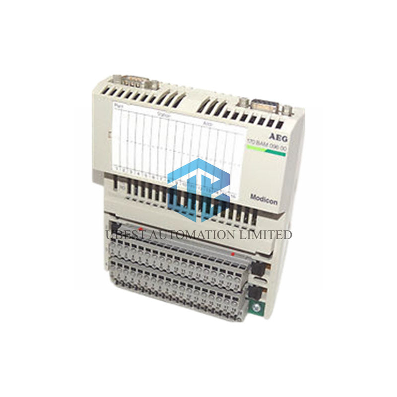 170BAM09600 Schneider Analog I/O Module | Dual-Signal Unit