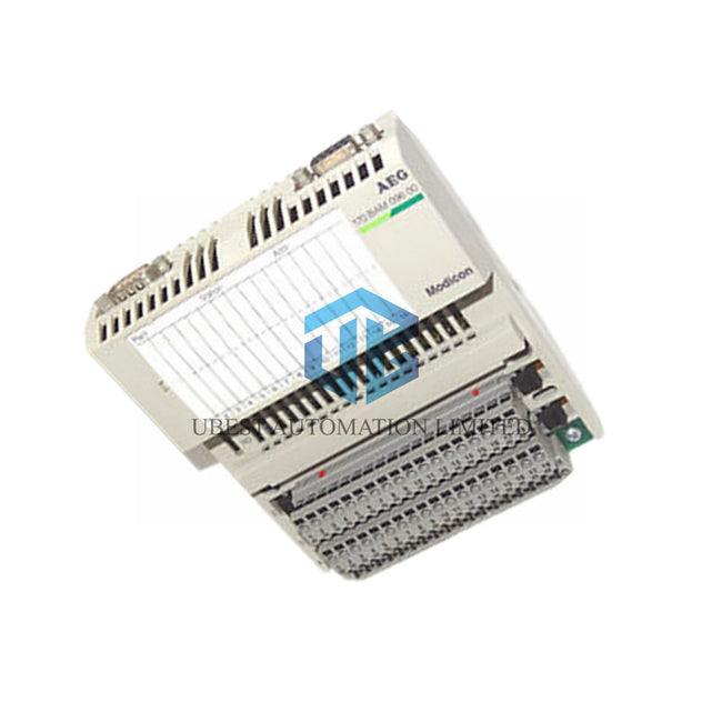 170BAM09600 Schneider Analog I/O Module | Dual-Signal Unit
