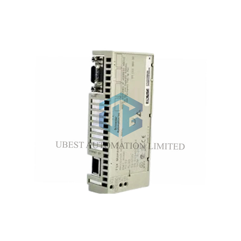 171CCC98030 Schneider Momentum Processor | 50MHz