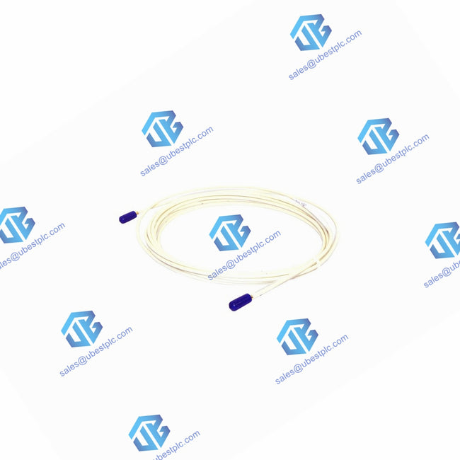 Зонд үшін Bently Nevada 2789-204 кабельді ұзарту 17 фут