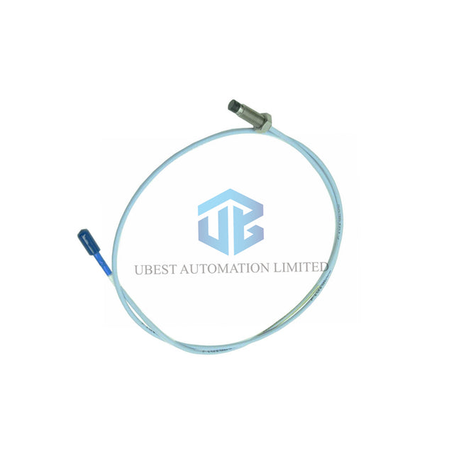 Bently Nevada 330707-00-24-50-01-00 | 5m Armored Cable Probe